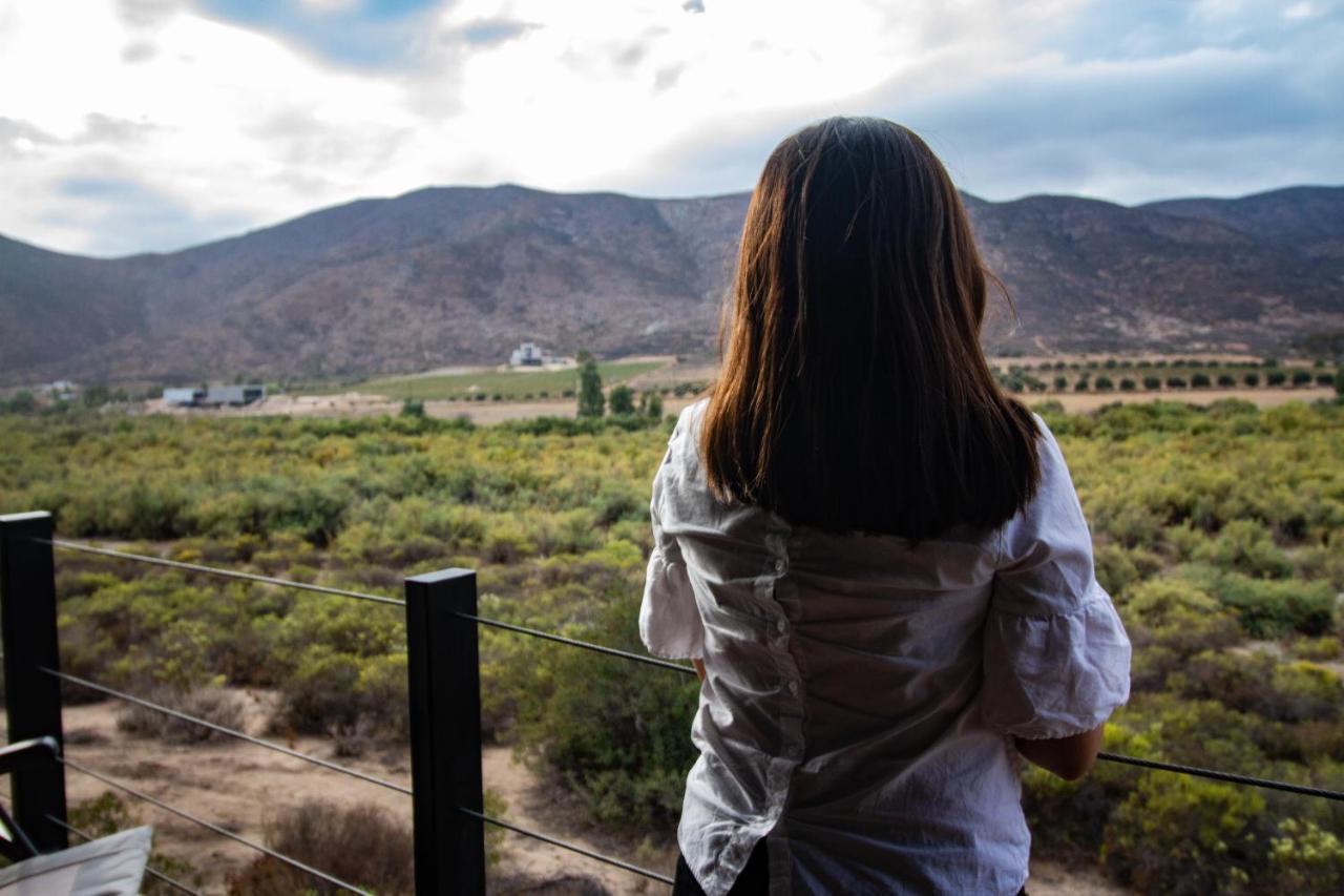 Oeno Wine Lodge Valle de Guadalupe Kültér fotó